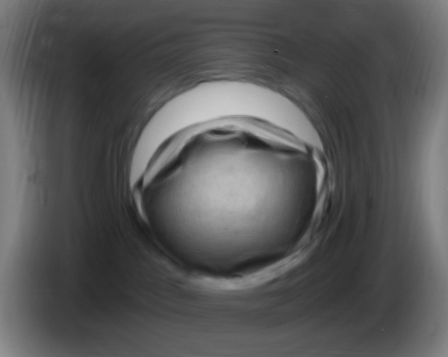 X0000085320045200703302054