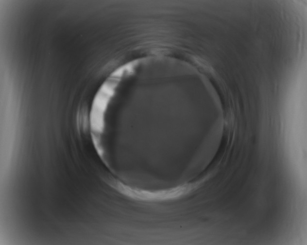 X0000085320046200703302054