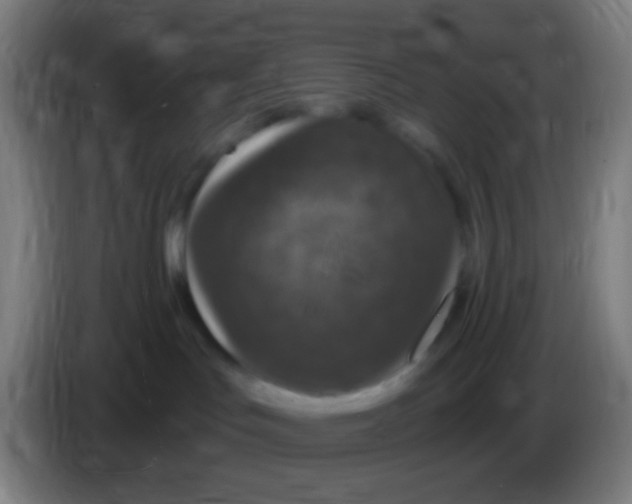 X0000085320047200703302054