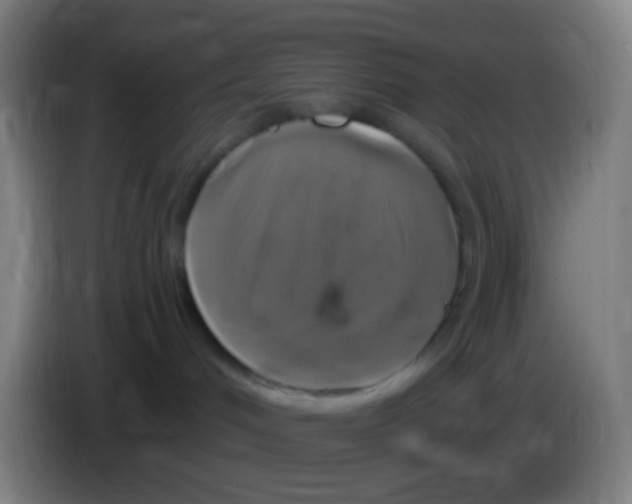 X0000085320048200703302054