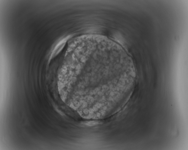 X0000085320050200703302053