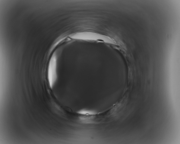 X0000085320051200703302053