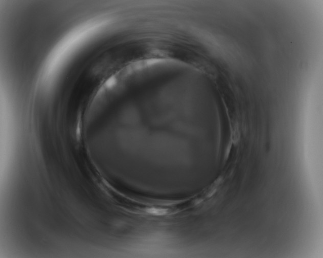 X0000085320052200703302053