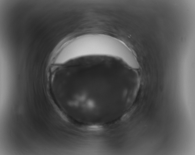 X0000085320053200703302053