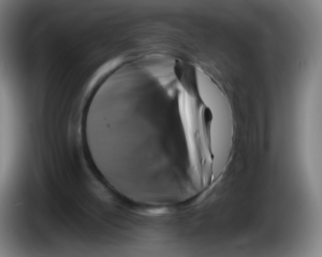 X0000085320054200703302053