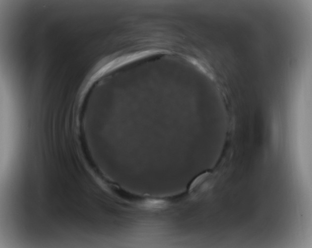 X0000085320055200703302053