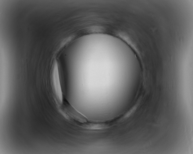 X0000085320057200703302053