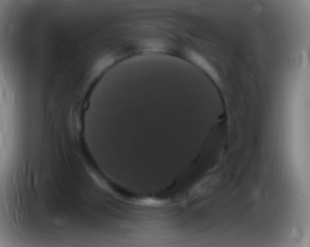X0000085320059200703302053