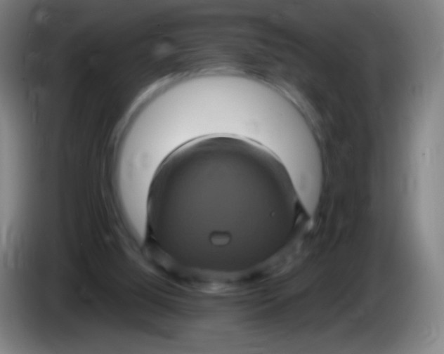 X0000085320060200703302053
