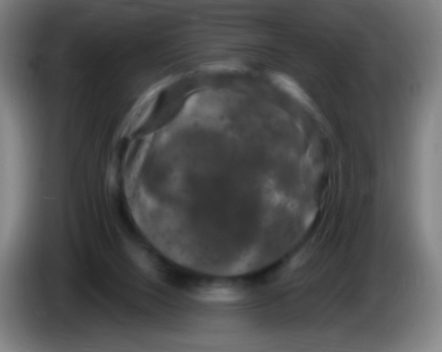 X0000085320064200703302053