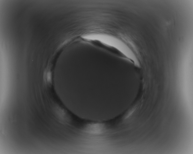 X0000085320067200703302053