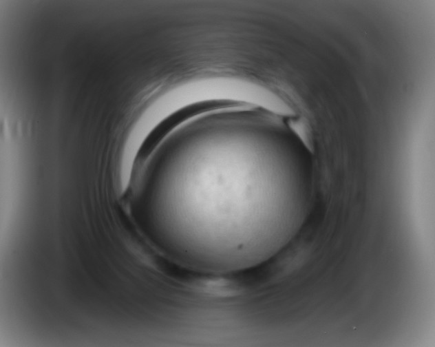 X0000085320068200703302053
