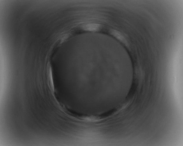 X0000085320069200703302053