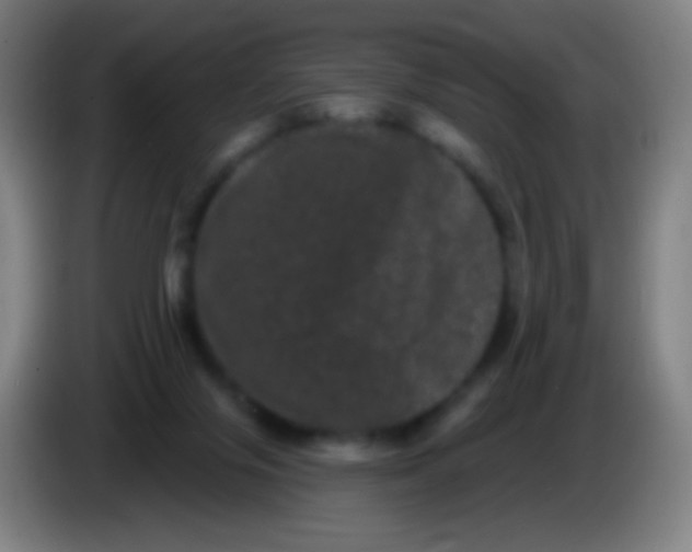 X0000085320071200703302053