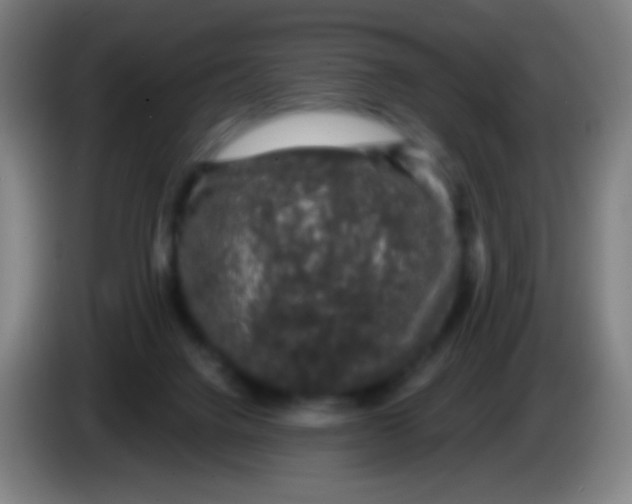 X0000085320072200703302053