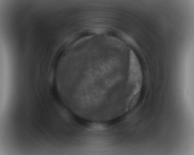X0000085320073200703302053