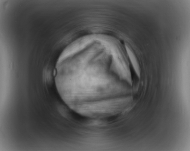 X0000085320074200703302053