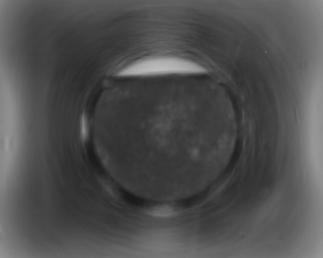 X0000085320075200703302053