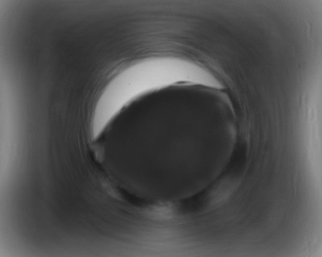 X0000085320076200703302053