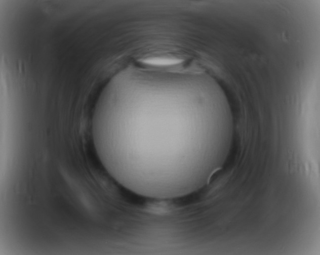 X0000085320079200703302053