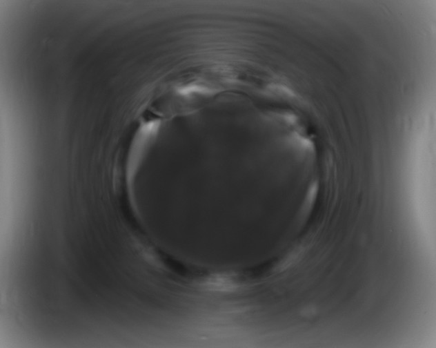 X0000085320080200703302053