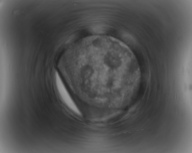 X0000085320081200703302053