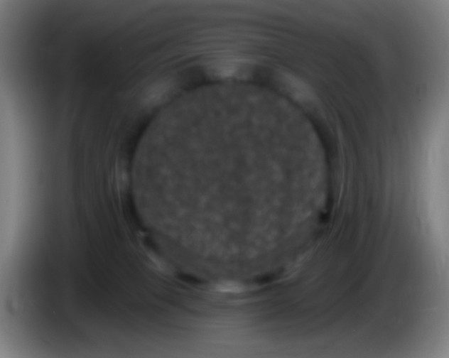 X0000085320085200703302054