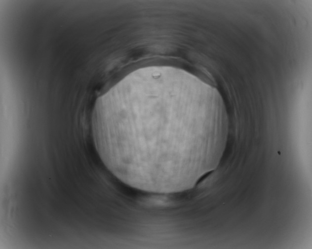 X0000085320086200703302054