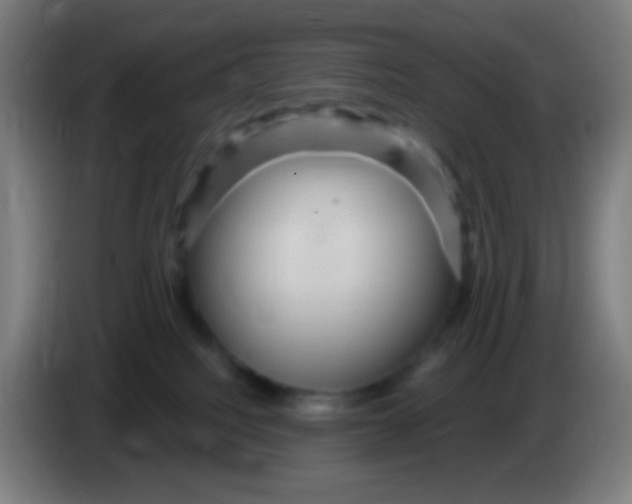 X0000085320088200703302054