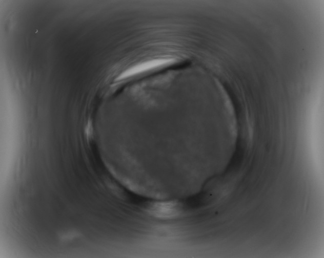 X0000085320089200703302054