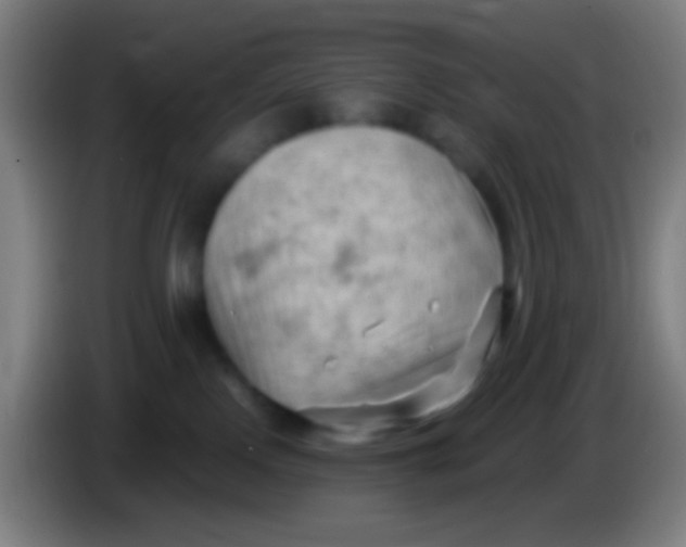 X0000085320090200703302054