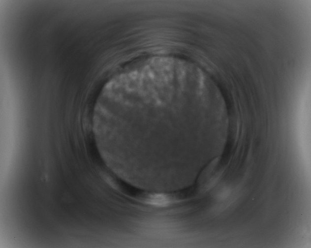 X0000085320091200703302054