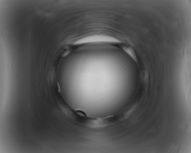 X0000085320092200703302054