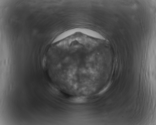 X0000085320094200703302054