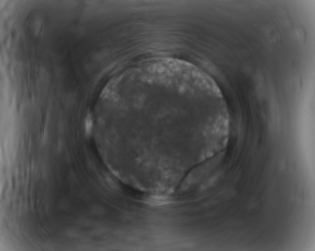 X0000085320095200703302054