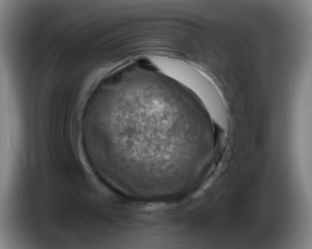 X0000085320097200703302053