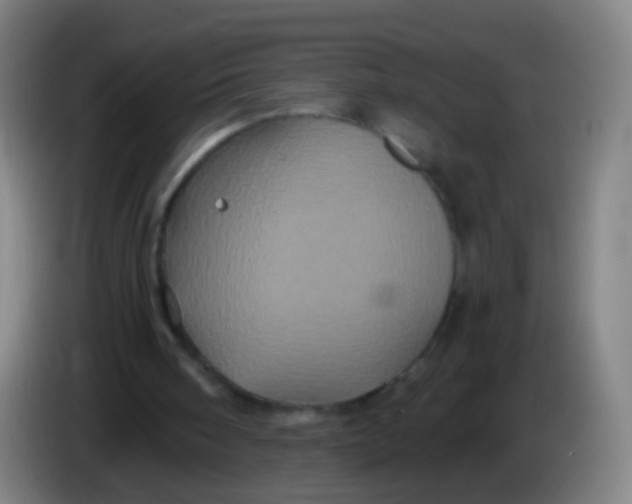 X0000085320098200703302053