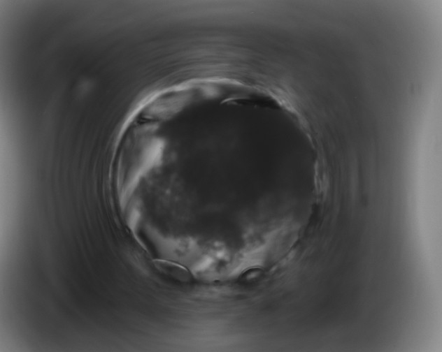 X0000085320099200703302053