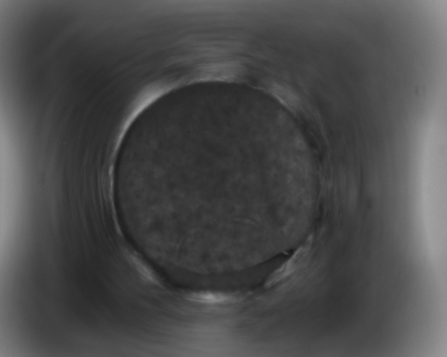 X0000085320100200703302053