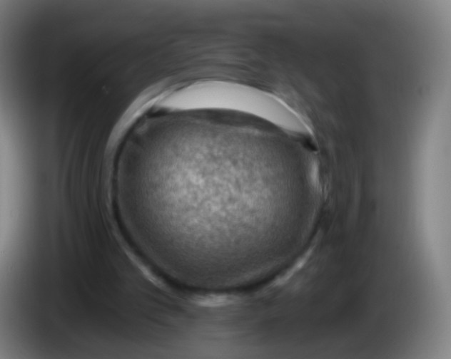 X0000085320101200703302053