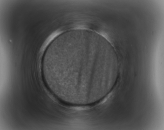 X0000085320103200703302053