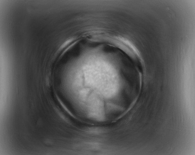 X0000085320105200703302053