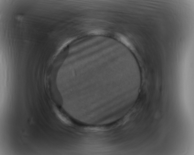 X0000085320106200703302053