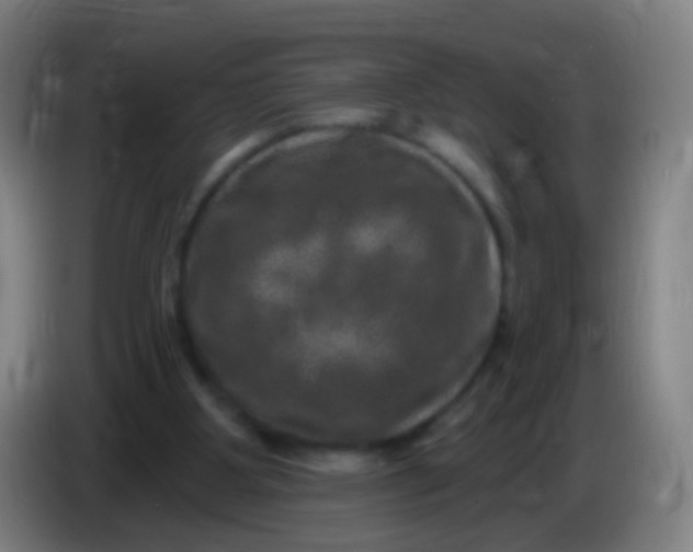 X0000085320107200703302053