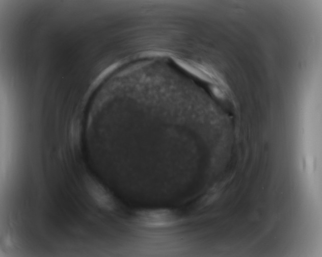 X0000085320108200703302053