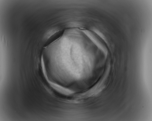 X0000085320109200703302053