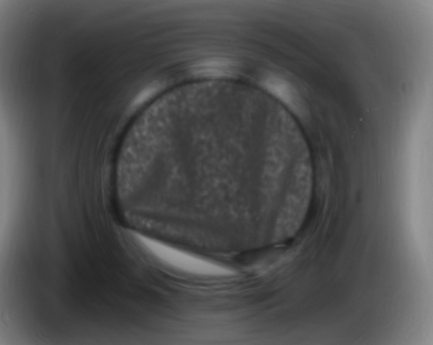 X0000085320111200703302053