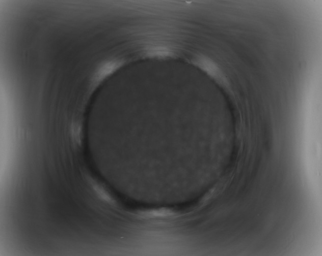 X0000085320112200703302053