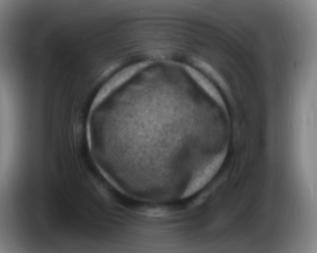 X0000085320113200703302053