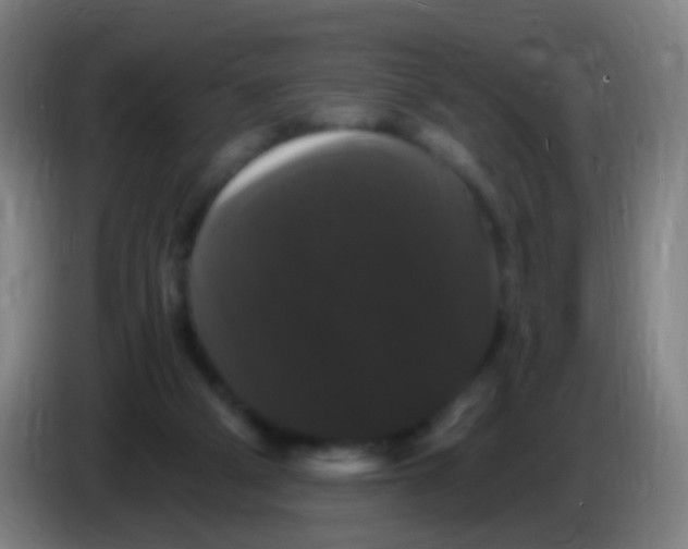 X0000085320114200703302053